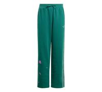 ADIDAS ORIGINALS Pantalon 'Minecraft' vert / vert pastel, Taille 140