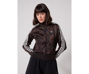 adidas originals STN FB TT pour L Marron