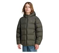 Adidas Originals Veste Puffer Regular