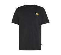 adidas Outdoor T-Shirt TERREX Camper Graphic noir