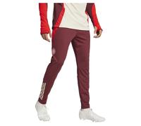 Adidas Pantalon De Survêtement Fc Bayern Munich 24/25
