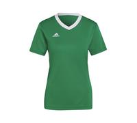 ADIDAS PERFORMANCE Maillot 'Entrada 22' vert / blanc, Taille L