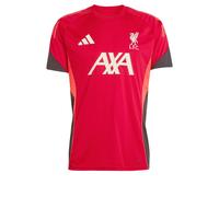 Adidas Liverpool Fc 25/26 Tiro Competition Training Short Sleeve T-shirt Rouge S / Regular Homme
