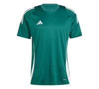 Adidas Tiro24 Short Sleeve T-shirt Vert 2XL / Regular Homme