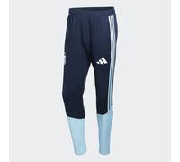 Adidas Argentina 26/27 Tiro Training Tracksuit Pants Bleu L / Regular Homme