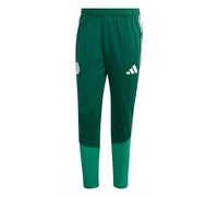 ADIDAS PERFORMANCE Pantalon de sport 'Algerien 26' vert / sapin / blanc, Taille XXXL