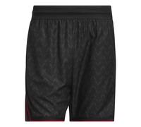 ADIDAS PERFORMANCE Pantalon de sport 'Anthony Edwards Crazy Lite' anthracite / rouge / noir, Taille XL