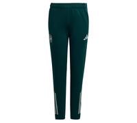 Pantalon d'entraînement Arsenal Tiro 25 Competition Aurora Ivy 13-14A