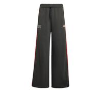 ADIDAS PERFORMANCE Pantalon de sport 'Audi Formula One Team DNA' gris foncé / homard / blanc, Taille XS-S