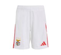 ADIDAS PERFORMANCE Pantalon de sport 'Benfica Lissabon 25/26' azur / curry / rouge / blanc, Taille 176