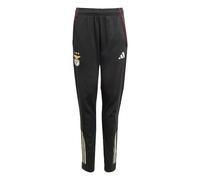 ADIDAS PERFORMANCE Pantalon de sport 'Benfica Lissabon Tiro 25 Competition' jaune / rouge / noir / blanc, Taille 152
