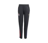 ADIDAS PERFORMANCE Pantalon de sport bleu / or / gris / rouge, Taille 152