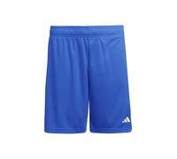 Adidas Short Entrada26 Homme bleu/blanc Taille XS
