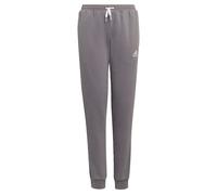 ADIDAS PERFORMANCE Pantalon de sport 'Entrada 22' taupe / blanc, Taille 128