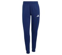 ADIDAS PERFORMANCE Pantalon de sport 'Entrada26' bleu / blanc, Taille XS