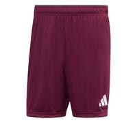 adidas Herren Entrada26 Shorts, Team Maroon 2/White, XXL