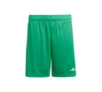 adidas Homme Entrada26 Shorts, Team Green/White, XXL