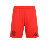 Short Domicile FC Bayern 24/25 Red 2XL