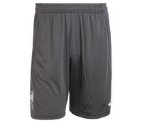 ADIDAS PERFORMANCE Pantalon de sport 'FC Liverpool Tiro 25 Competition' anthracite / melon / blanc cassé, Taille XL