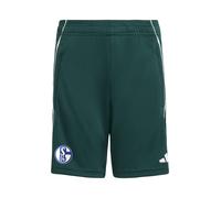 ADIDAS PERFORMANCE Pantalon de sport 'FC Schalke 04' bleu / vert / blanc, Taille 152