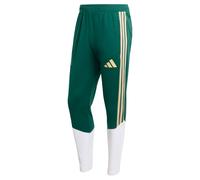 Adidas Italy 26/27 Tiro Training Tracksuit Pants Vert XS / Regular Homme