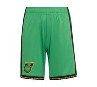 ADIDAS PERFORMANCE Pantalon de sport 'Jamaika 26 x Bob Marley' vert gazon / noir, Taille 176