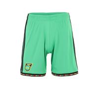 ADIDAS PERFORMANCE Pantalon de sport 'JFF' jaune / vert clair / rouge / noir, Taille XL