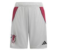 ADIDAS PERFORMANCE Pantalon de sport 'Jude Bellingham' gris clair / grenadine / noir, Taille 140