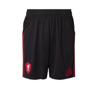 ADIDAS PERFORMANCE Pantalon de sport 'Liverpool FC 25/26' rouge / noir, Taille XXXL