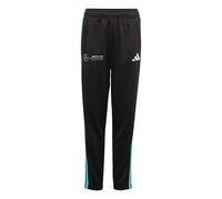 adidas Mixte Enfant Mercedes - AMG Petronas Formula One Team DNA Pant Youth, Black/White, 11-12 Years