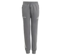 ADIDAS PERFORMANCE Pantalon de sport 'Mercedes - AMG Petronas Formula One Team' gris / blanc, Taille 152