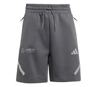 ADIDAS PERFORMANCE Pantalon de sport 'Mercedes - AMG Petronas Formula One Team' gris clair / gris foncé, Taille 176