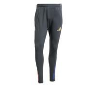 Adidas Olympique Lyonnais Tiro 25/26 Competition Training Pants Gris S / Regular Homme