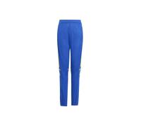 Adidas Squadra 25 Training Tracksuit Pants Bleu 9-10 Years Enfants