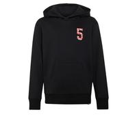 ADIDAS PERFORMANCE Pull de sport 'AUDI REVOLUT F1 TEAM GABRIEL BORTOLETO GRAFIK II' rouge / noir / blanc, Taille 176