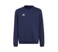 Adidas Entrada 22 Stadium Sw Sweatshirt Bleu 13-14 Years Garçons,Filles