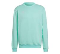 ADIDAS PERFORMANCE Sweat de sport 'Entrada 22' turquoise, Taille M