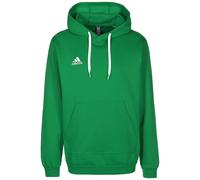 Adidas Entrada 22 Hoodie Vert S / Regular Homme