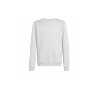 Adidas Entrada 26 Sweat Sweatshirt Gris 11-12 Years Enfants
