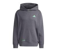 Sweat à capuche adidas Mercedes - AMG gris - XS