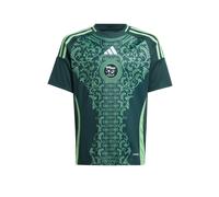 ADIDAS PERFORMANCE T-Shirt fonctionnel 'Algeria 24' vert clair / vert foncé / blanc, Taille 176