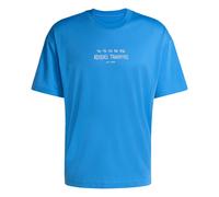 adidas Herren Climacool Power Training Graphic T-Shirt, Ray Blue, 3XL