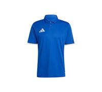 Adidas Entrada 26 Short Sleeve Polo Bleu XS / Regular Homme