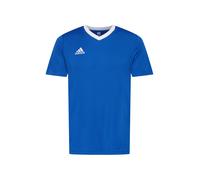 Adidas Homme Entrada 22 Jersey, Royal Blue, L