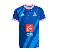 ADIDAS PERFORMANCE T-Shirt fonctionnel 'FFHB' bleu / azur / rose / rouge foncé, Taille 140