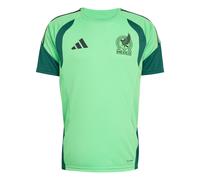 Adidas Mexico 26/27 Tiro Training Short Sleeve T-shirt Vert M / Regular Homme