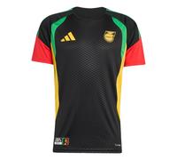 ADIDAS PERFORMANCE T-Shirt fonctionnel 'Jamaika 26 x Bob Marley Tiro' jaune / vert / rouge / noir, Taille L