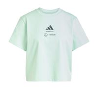 ADIDAS PERFORMANCE T-shirt fonctionnel 'Mercedes - AMG Petronas Formula One Team' gris / menthe, Taille 4XS