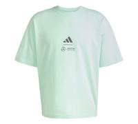 ADIDAS PERFORMANCE T-Shirt fonctionnel 'Mercedes - AMG Petronas Formula One Team Premium' gris / menthe, Taille XXL