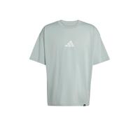 ADIDAS PERFORMANCE T-Shirt fonctionnel 'PWR' vert pastel / blanc, Taille XL